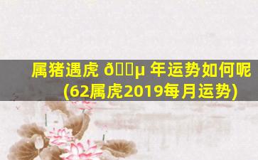 属猪遇虎 🌵 年运势如何呢(62属虎2019每月运势)
